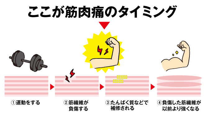 肥後橋　セミパーソナル　安い