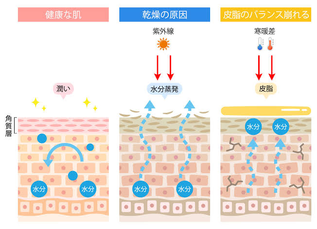 阿波座　パーソナルジム