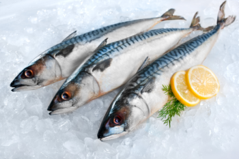 魚　筋トレ　筋肉