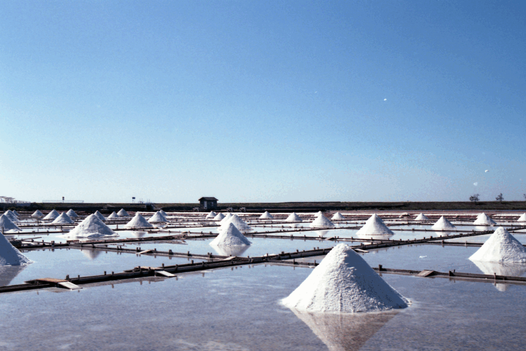 水 塩 ミネラル 水分補給