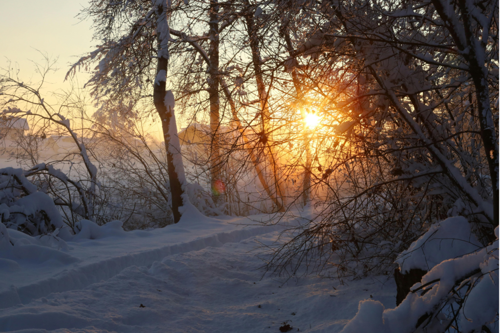 冬 目覚め 健康