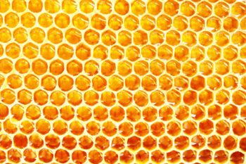 ローヤルゼリー　疲労回復　効果